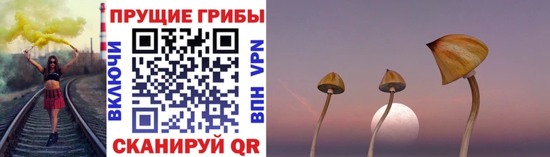 Галлюциногенные грибы MAGIC MUSHROOMS  Северодвинск 
